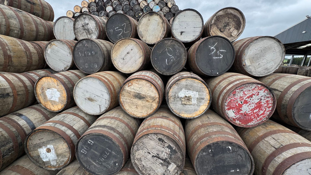 Rows of oak rum casks stacked outside a distillery