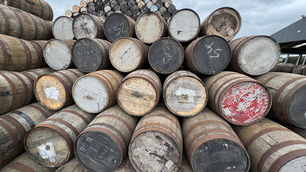 Rows of oak rum casks stacked outside a distillery